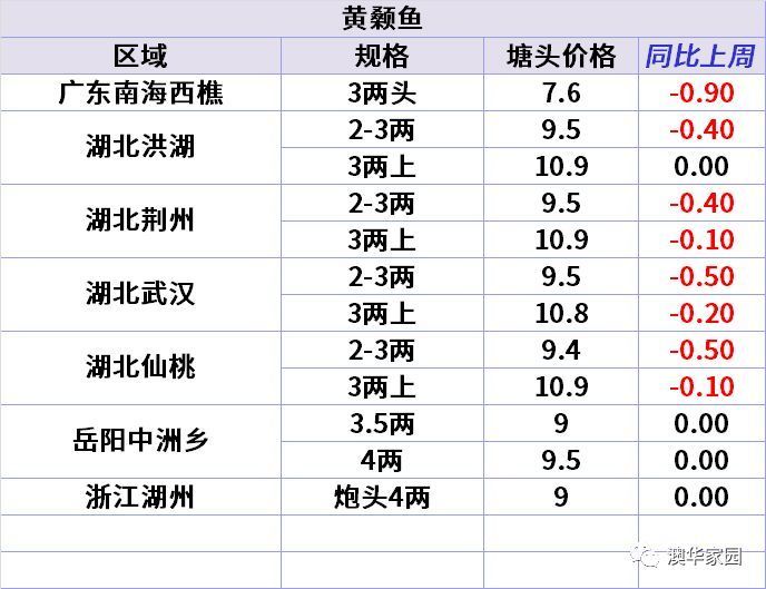 南美白对虾喜讯连连，最新优价一览表