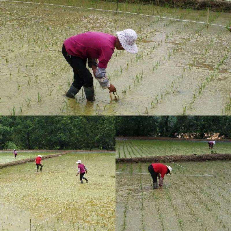 2017年度青春头像精选，绽放美丽风采