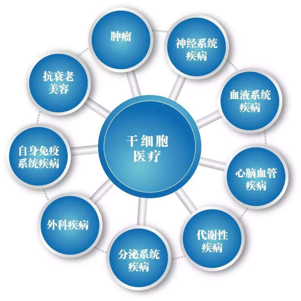 探索干细胞技术的新篇章：开启生命科学的璀璨未来