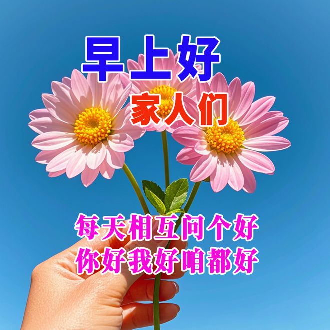 四会未来15日晴朗预告，美好天气伴您每一天