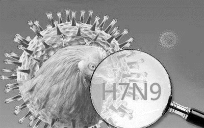 最新禽流感动态速报