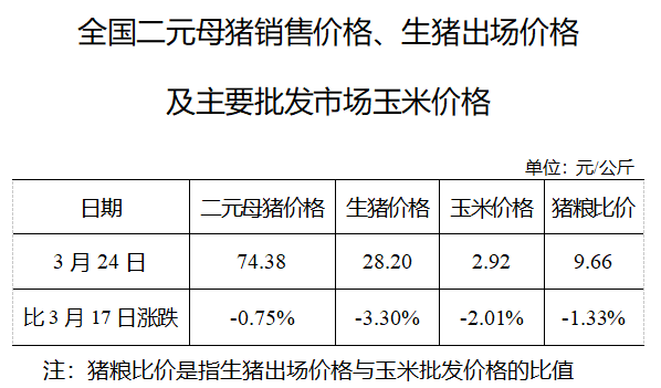 近期市场行情：二元母猪价格行情一览