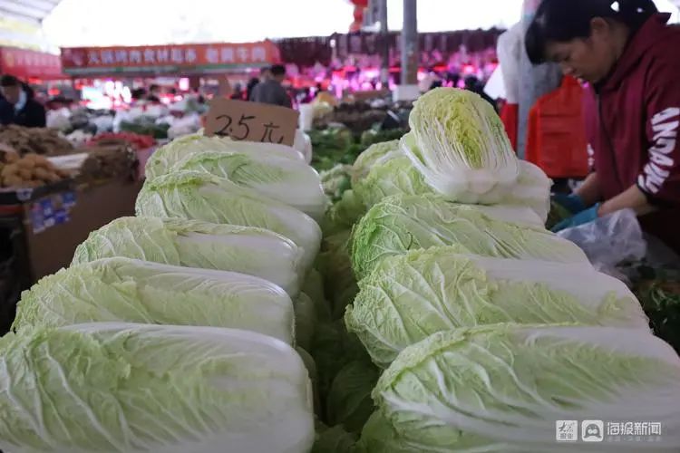 最新揭晓：安丘白菜市场行情，价格动态一览