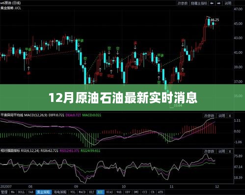 今日原油市场动态深度解析