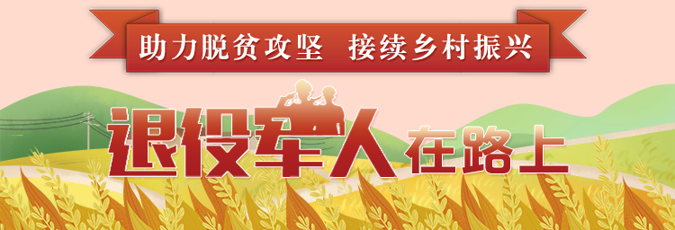 乡村振兴战略下农村退伍军人最新福利政策解读